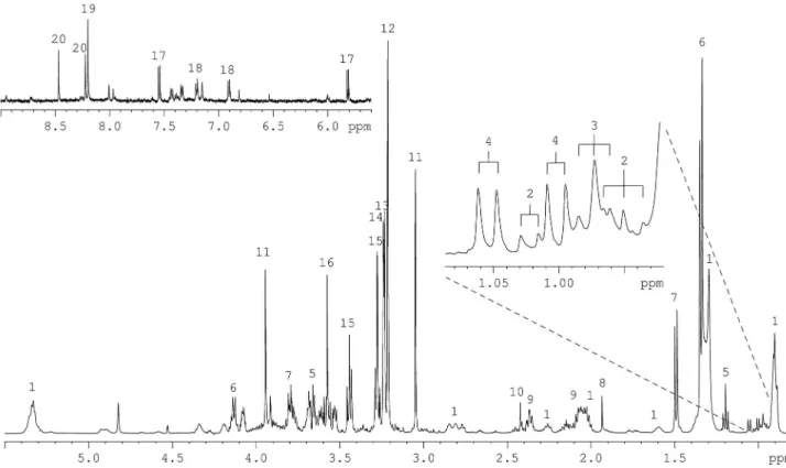 Figure 5.  1 H HR-MAS NMR spectrum of S180 cells (D 2 O, 500 MHz) with spectral assignments of metabolites numbered (see Table 1 for numbering).