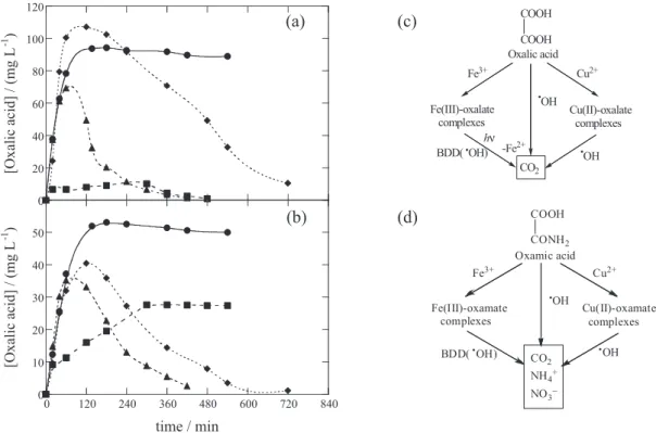 Figure 8. Evolution of the concentration of (a) oxalic and (b) oxamic acids during the degradation of 100 mL of 220 mg L -1  Indigo Carmine solutions  in 0.05 mol L -1  Na 2 SO 4  at pH 3.0, 33 mA cm -2  and 35.0 ºC using a Pt/O 2  or BDD/cell with 3 cm 2 