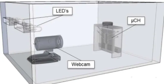Figure 1. Schematic diagram of the µFBA  lab-made system. 
