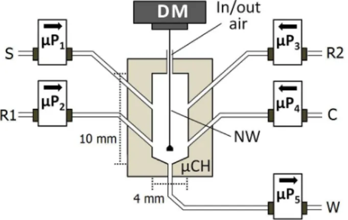 Table 1. Switching course of the solenoid micro-pumps for the determination of ortho-phosphate and aluminium(III) in the proposed µFBA a