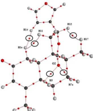 Figure 5. Molecular graph for t-DCTN indicating the bond paths analyzed  in Table 2. 