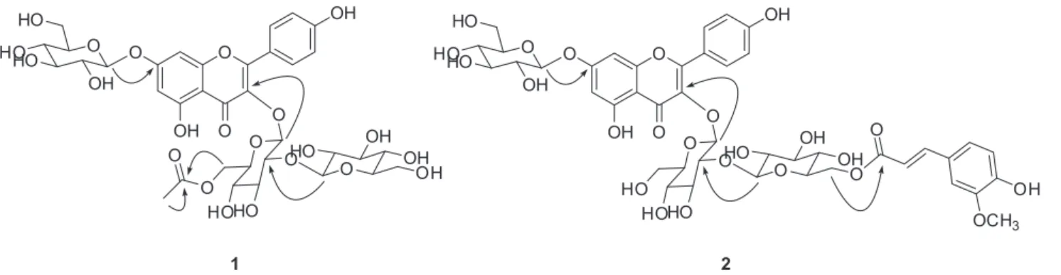 Figure 2. Key HMBC correlations (H→C) of compounds 1 and 2.