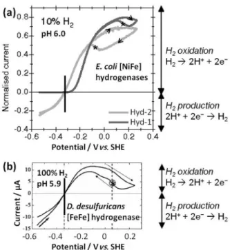 Figure 5 shows an example of the current obtained during  oxidation of H 2  at an electrode modified with E
