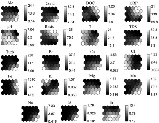 Figure 3. Maps of the distribution of individual variables obtained by Kohonen neural network
