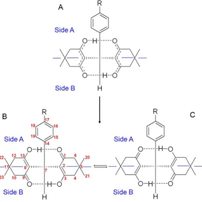 Figure 2. Numeration, intramolecular hydrogen bonding and enolization exchange of 2,2’-arylmethylene bis(3-hydroxy-5,5-dimethyl-2-cyclohexene-1-one).