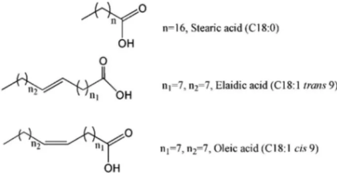 Figure 1. The chemical structures of saturated (palmitic acid, C16:0),  cis unsaturated (oleic acid C18:1 cis 9) and trans unsaturated (elaidic  acid C18:1 trans 9) FA.