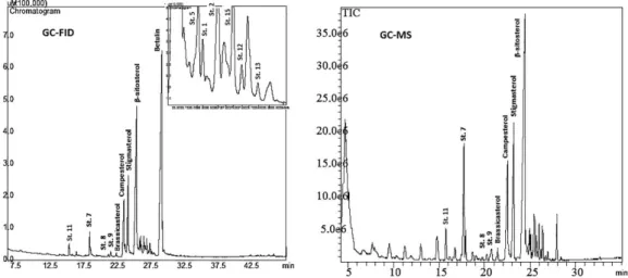Figure 1. Chromatographic analysis by gas chromatography coupled to a flame ionization detector (GC-FID) and gas chromatography coupled to a mass  detector (GC-MS) of free steroids present in soybean oil.