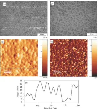 Figure 3. Surface morphology of a polymer coating including 30 wt.% 