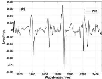 Figure 4. (a) PC1  ×  PC2 score plot for the 600 samples and (b) plot of PC1 loadings.
