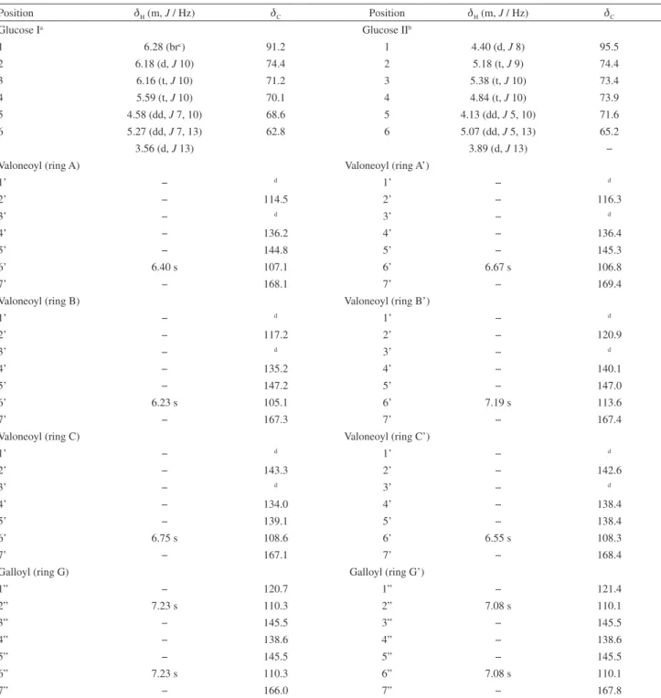 Table 1.  1 H and  13 C NMR (500 and 125 MHz, respectively) data for oenothein B (acetone-d 6  + D 2 O, −20  o C)