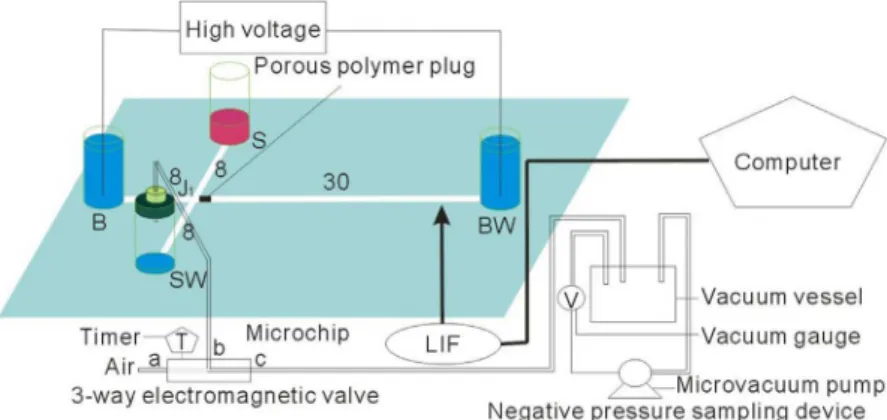 Figure 1. Schematic diagram of the integrated NAMCE-LIF system. Dimensions are given in mm.