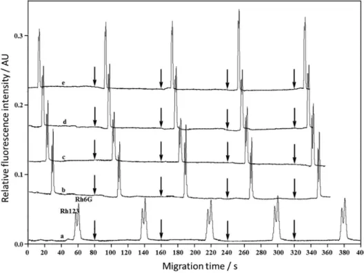 Figure 4. Influence of electric-field strength on NAMCE separation of Rh123 (2 × 10 –7  mol L –1 ) and Rh6G (2 × 10 –7  mol L –1 ) using ACN as running buffer  (a) 75 V cm –1 ; (b) 125 V cm –1 ; (c) 162.5 V cm; (d) 200 V cm –1  and (e) 250 V cm –1 