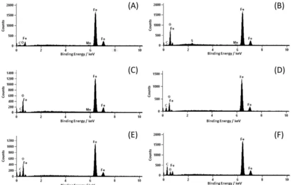 Figure 8. EDS spectra for the mild steel surface of (A) the reference coupon, and after 24 h of immersion in (B) 0.1 mol L -1  H 2 SO 4  and solutions containing  (C) 1.0, (D) 3.0, (E) 5.0 and (F) 10.0 mmol L -1  of caffeine.
