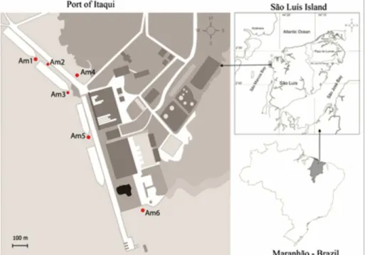 Figure 1. Sampling sites at Port of Itaqui (São Luís, Maranhão, Brazil). Six sampling sites where selected along the port, including areas with intense  maritime traffic and at internal mangrove area (Am4), in which there are no boats