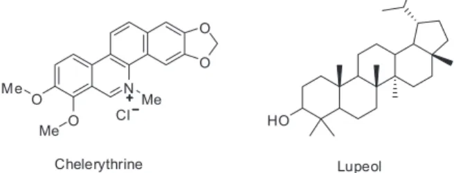 Figure 1. Krait venom acetylcholinesterase activity in the presence and absence of different concentrations of chelerythrine (A) and lupeol (B)