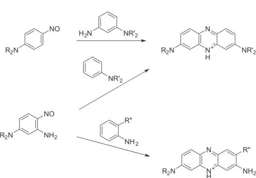 Figure 6. Classical synthesis of phenazinium dyes showing facile variation. Typically R is an alkyl group.