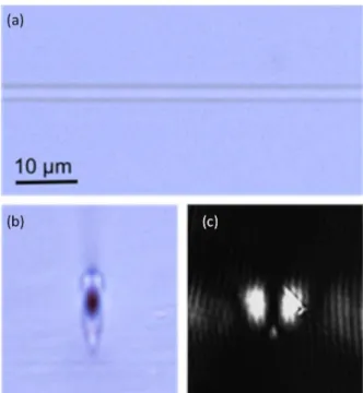 Figure 8 displays a 3D-waveguide containing metallic silver  nanoparticles in its core, produced by femtosecond laser  irradiation in phosphate glass