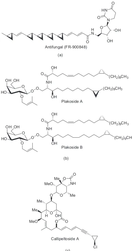 Figure 3. Some natural products that were synthesized using the Charette methodology.