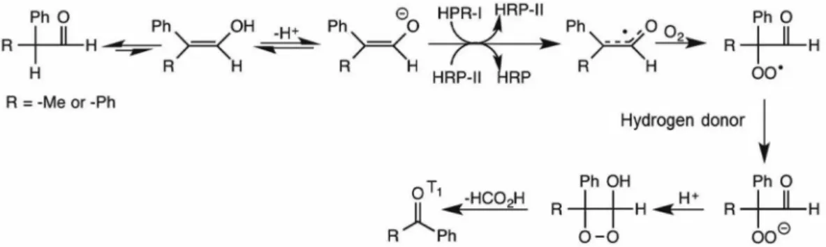 Figure 15. HRP-catalyzed oxidation of 2-phenylpropanal (R = Me) and diphenylacetaldehyde (R = Ph) to acetophenone and benzophenone, respectively,  in the triplet state (adapted from reference 4).