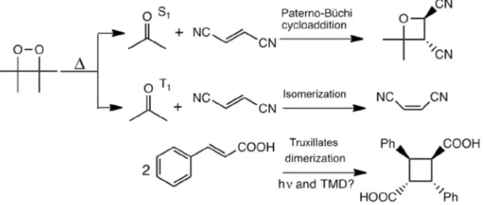 Figure 8. [2 + 2] Cycloaddition and cis,trans-isomerization driven by excited acetone in a model system with 1,2-dicyanoethylene and hypothetical “dark” 