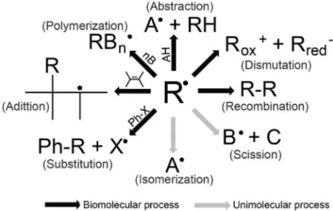 Figure 11. Typical reactions of free radicals centered on carbon, oxygen  or other atoms (adapted from reference 4).
