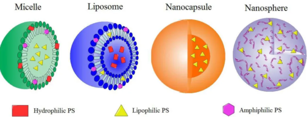 Figure 3. Schematic representation of some drug delivery systems investigated for photodynamic therapy (PDT) application, showing the preferential  localization of hydrophilic, lipophilic and amphiphilic photosensitizers in them