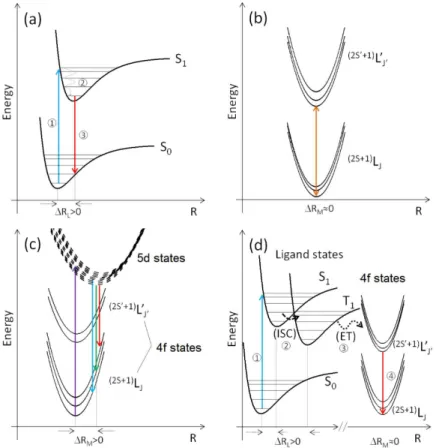 Figure 5. Simplified potential energy diagrams illustrating the origin of shifts between absorption and emission maxima in different situations: (a) Stokes  shift in organic fluorophores; (b) pure 4f-4f transition with virtually no shift; (c) “Denning shif