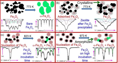 Figure 9. Schematics of the growth of nanoparticles and the thermal treatment effect on (a) pure Fe 3 O 4 ; (b) Fe 3 O 4  adsorbed on zeolite 13x after precipitation; 