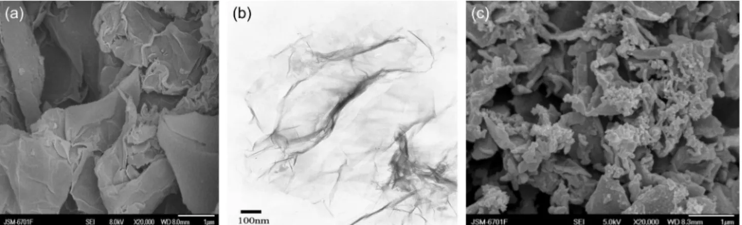 Figure 1. Morphological images of GR and the PANI/GR -FCA composite film. (a) SEM image of GR; (b) TEM image of GR; (c) SEM image of the  PANI/GR -FCA composite film.