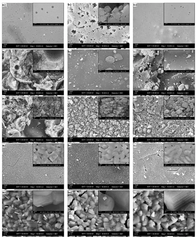 Figure 3. Scanning electron micrographs of samples (a) Nb 2 O 5 :La (1.0%) ; (b) Nb 2 O 5 :La (0.9%) Eu (0.1%) ; and (c) Nb 2 O 5 :La (0.7%) Eu (0.3%) 