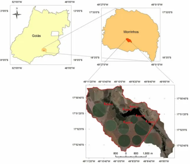 Figure 1. Study area, Tijunqueiro microbasin, Morrinhos, state of Goiás, Brazil, adapted by DIGITAL GLOBE (2011) and wells position.