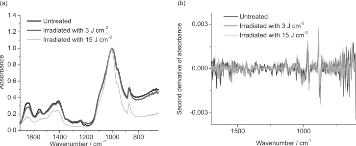 Figure 5a shows the means of infrared spectra obtained  after Er,Cr:YSGG laser treatments proposed for bone and  its second derivative, Figure 5b
