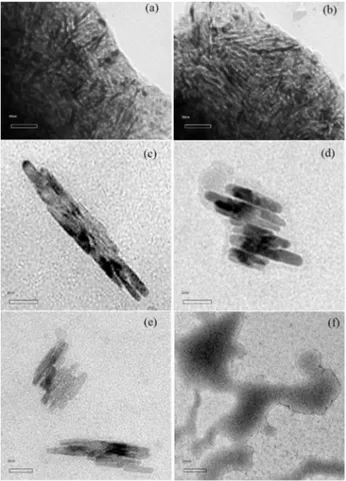 Figure 5. TEM images of PTh electroobtained on Pt|(SiO 2 ) n , after  treatment with HF:H 2 O for 5 s, using (a) and (b) Th; (c) BTh; (d) and (e)  TTh; and (f) QTh as a starting unit.
