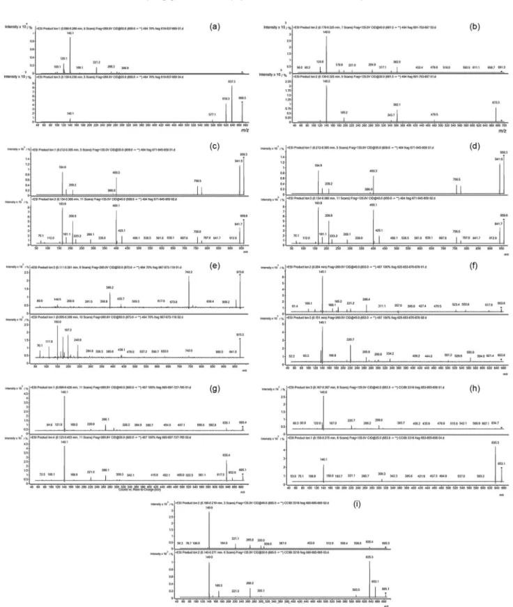 Figure 2. ESI-MS spectra of Sphaerocavum strains 70% methanolic extracts in the positive mode (precursor mode)
