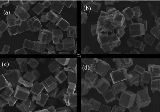 Figure 2. Field emission scanning electron microscopy (FE-SEM) images of: (a) CT; (b) CT:Tm,Yb; (c) CT:Tm; and (d) CT:Yb.