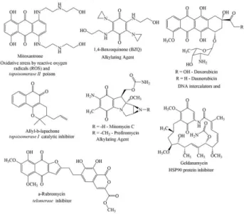 Figure 1. Quinones with antineoplastic activity.
