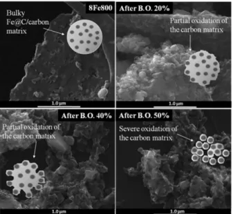 Figure 4. SEM images obtained of the sample 8Fe800 after selective  oxidation with CO 2  to produce burn-offs of 20, 40 and 50 wt.%.