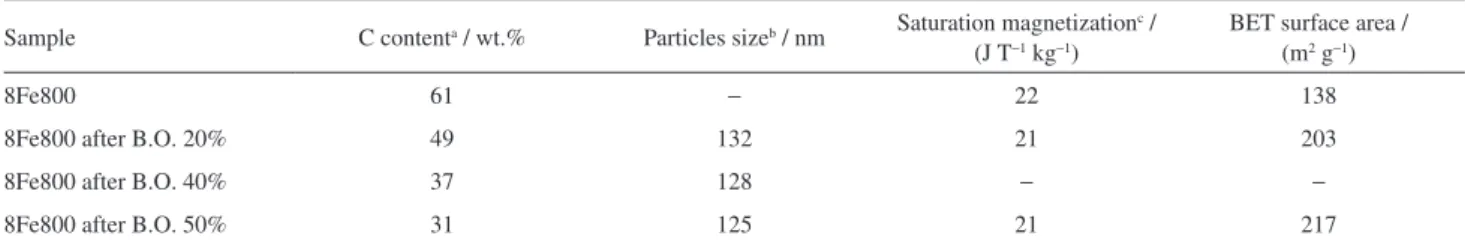 Figure 7. TEM images of the sample 8Fe800 after 50% burn-off.