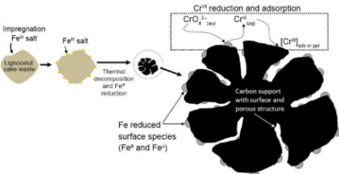 Figure 1. Schematic representation of the preparation of the reactive  material for Cr VI  reduction.