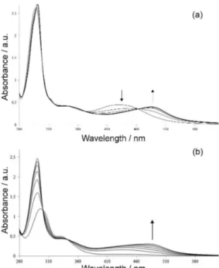 Figure 3. Chronoamperogram of a buffered aqueous solution (pH 7.40)  containing the complex ion [Ru(bpy) 2 (SO 3 )NO] +  after irradiation at  377 nm