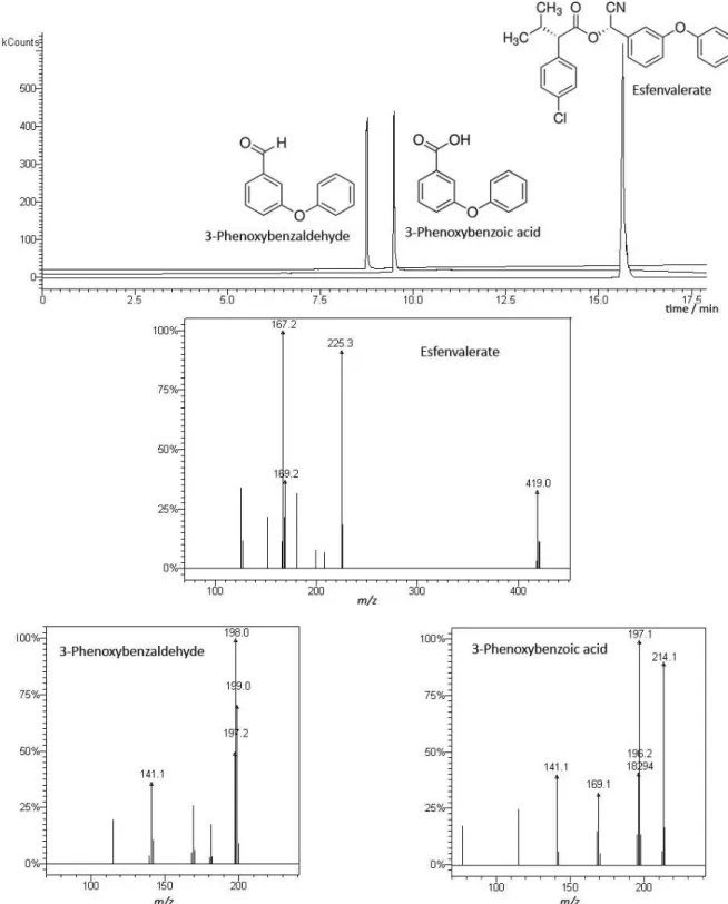 Figure 2. Total ion chromatogram (TIC) and mass spectra of methanolic standard solutions of 3-phenoxybenzaldehyde (0.2 mg L -1 , t R  = 8.77 min),  3-phenoxybenzoic acid (0.2 mg L -1 , t R  = 9.47 min) and esfenvalerate (0.3 mg L -1 , t R  = 15.63 min).