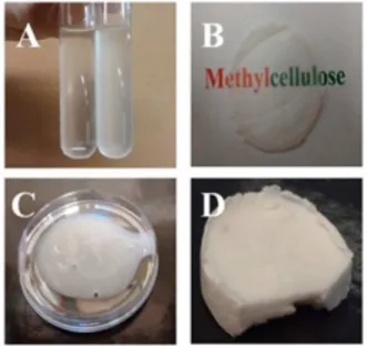 Figure 6b shows the weight loss curves (TG) of the  BC, MC3h and MC5h samples. The stages shown in the  TG curves generally involve dehydration (25-100 °C),  depolymerisation and pyrolytic decomposition (220-415 °C)  and at high temperatures, this decompos