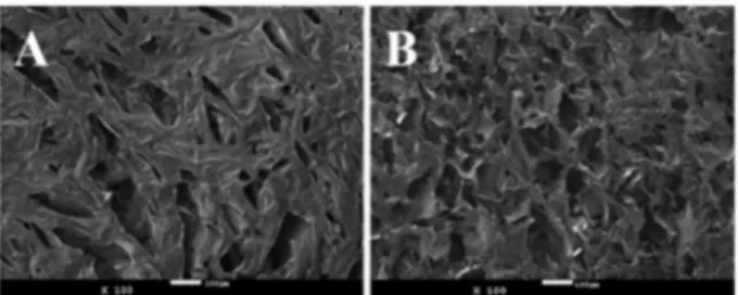 Figure 7B showed a transparent and resistant film  formed when the clear solution (mentioned earlier) is dried  in an oven at 37 °C for 24 h