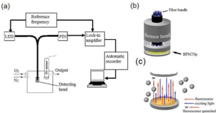Figure 1. Detecting system for oxygen sensing property in (a) and the  model of detection head containing BPSCNp in (b); and the process of  BPSCNp fluorescence quenched by oxygen in (c).
