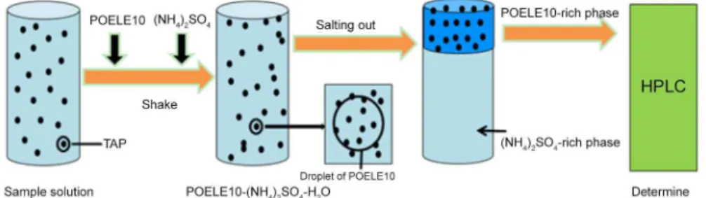 Figure 2. The schematic diagram of separation TAP in POELE10-(NH 4 ) 2 SO 4 ATPS.