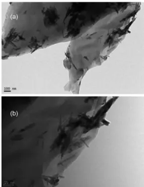 Figure 3. (a) and (b) are the TEM images of CuO nano belts graphene  composite.