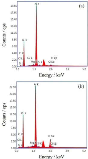 Figure 8 shows the X-ray photoelectron spectroscopy  (XPS) spectra for AA2024 surface after polarization  exposure in 0.1 mol L -1  NaCl solutions with and without  C 17 H 33 COONa