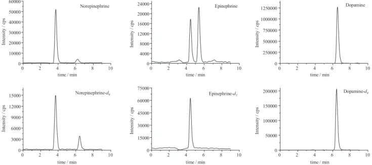 Figure 2. Example of the chromatogram of catecholamines and internal standards in sample human urine.