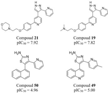 Figure 1. The most and the least active compounds of the data set.