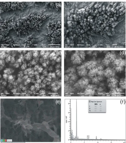Figure 5. SEM images of composite film at (a) 500×, (b) 1000×, (c) 2000× and (d) 5000×; (e) EDX-layered mapping image; and (f) EDX spectrum of  composite film.